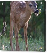 Picking Flowers Acrylic Print