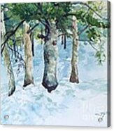 Pine Trees And Snow Acrylic Print