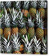 Pineapples Acrylic Print
