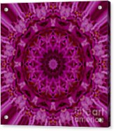 Pink Mandala Image 1 Acrylic Print