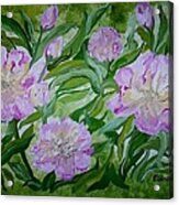 Pink Peonies Acrylic Print