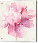 Pink Peony Watercolor Paintings of Flowers Acrylic Print