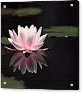 Pink Reflection Acrylic Print