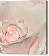 Pink Satin Acrylic Print