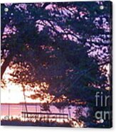 Pink Sunrise Acrylic Print