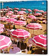 Pink Umbrellas Acrylic Print