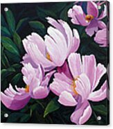 Pink Windflower Peonies Acrylic Print