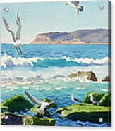 Point Loma Rocks Waves And Seagulls Acrylic Print
