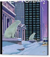 Polar Bears On Fifth Avenue Acrylic Print