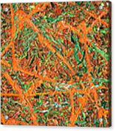 Pollock's Carrots Acrylic Print