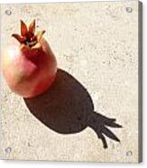Pomegranate On Concrete Front Shadow Acrylic Print