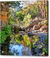 Pond At Lost Maples Acrylic Print