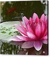 Pond Magic Acrylic Print