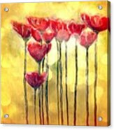 Poppies At Daylight Acrylic Print