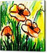 Poppies Garden 2 Acrylic Print