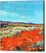Poppies In The Meadow Acrylic Print