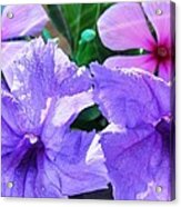 Popping Purple Petals Beauty Acrylic Print