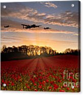 Poppy Field Pass Acrylic Print