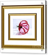 Poppy In White And Gold Frame Acrylic Print