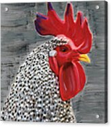 Portrait Of A Rooster Acrylic Print