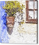 Potted Plant Acrylic Print