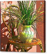 Potted Plant In Chair No 3 Acrylic Print