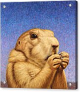 Prairie Dog Acrylic Print