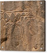 Prehistoric Petroglyph Acrylic Print
