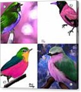 Pretty Birds In Pink Acrylic Print