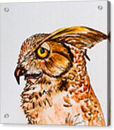 Prey For Wisdom - Horned Owl Painting Acrylic Print
