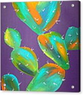 Prickly Pear Abstract Acrylic Print
