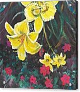 Ptg. Day Lillies And Impatients Acrylic Print