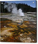 Pump Geyser Acrylic Print