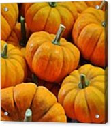 Pumpkins Acrylic Print