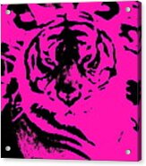 Magical Purple Bengal Tiger Acrylic Print