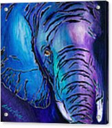 Purple Elephant Acrylic Print