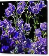 Purple Flowers Acrylic Print