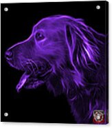 Purple Golden Retriever - 4047 F Acrylic Print