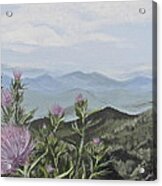 Purple Thistle Along The Blue Ridge Acrylic Print