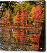 Quabbin Reservoir Fall Foliage Acrylic Print