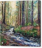 Quiet Woods With Creek Acrylic Print