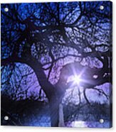 Radiant Clear Acrylic Print