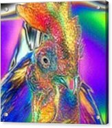Radiant Rooster Acrylic Print