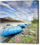 Rafts And Wildflowers Along The Alsek Acrylic Print