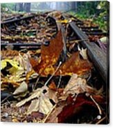 Rails And Leaves Acrylic Print