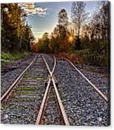Rails In The Wilderness Acrylic Print