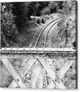 Railway Bridge Acrylic Print