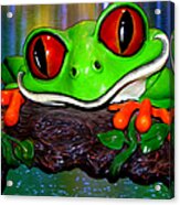 Rain Forest Frog Acrylic Print