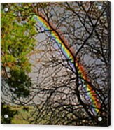 Rainbow And Tree Dancing Acrylic Print