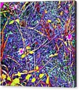 Rainbow Jungle Wild Flower Patch Acrylic Print